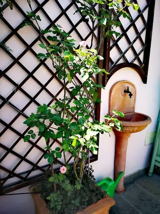 Centrale-Luxury Apartment With Garden Terrace ミラノ